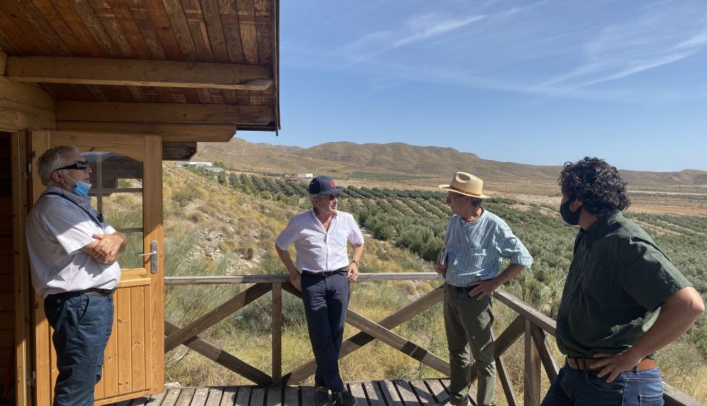 Un momento de la visita y al fondo los olivares de 'Oro del Desierto', en Tabernas.