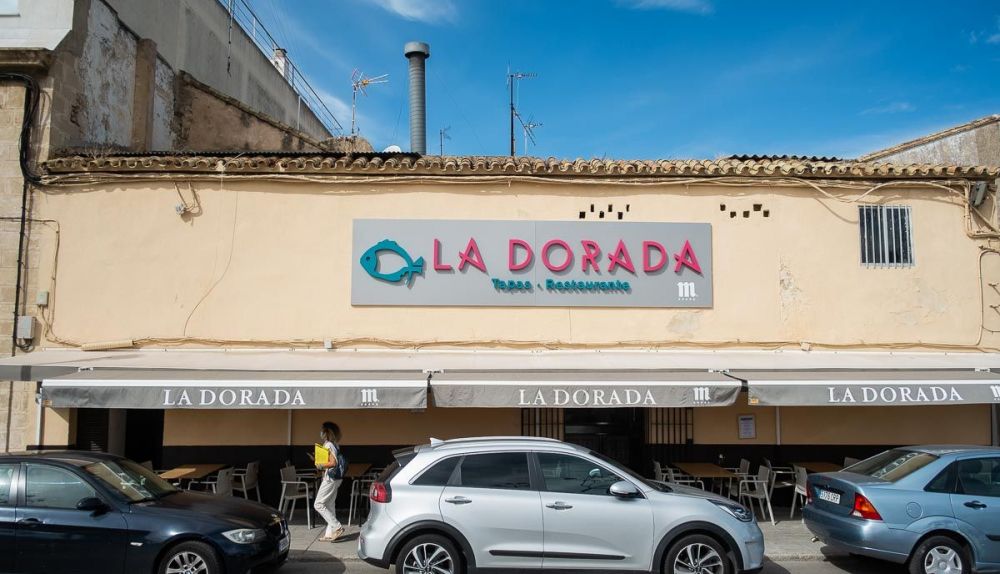 LA DORADA 8