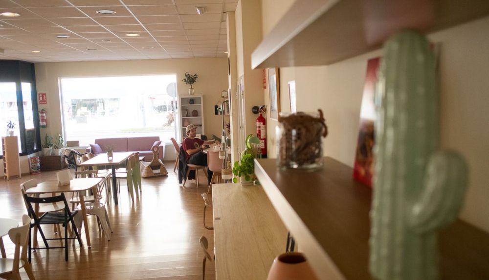 Interior de la cafetería con el cactus como elemento decorativo.