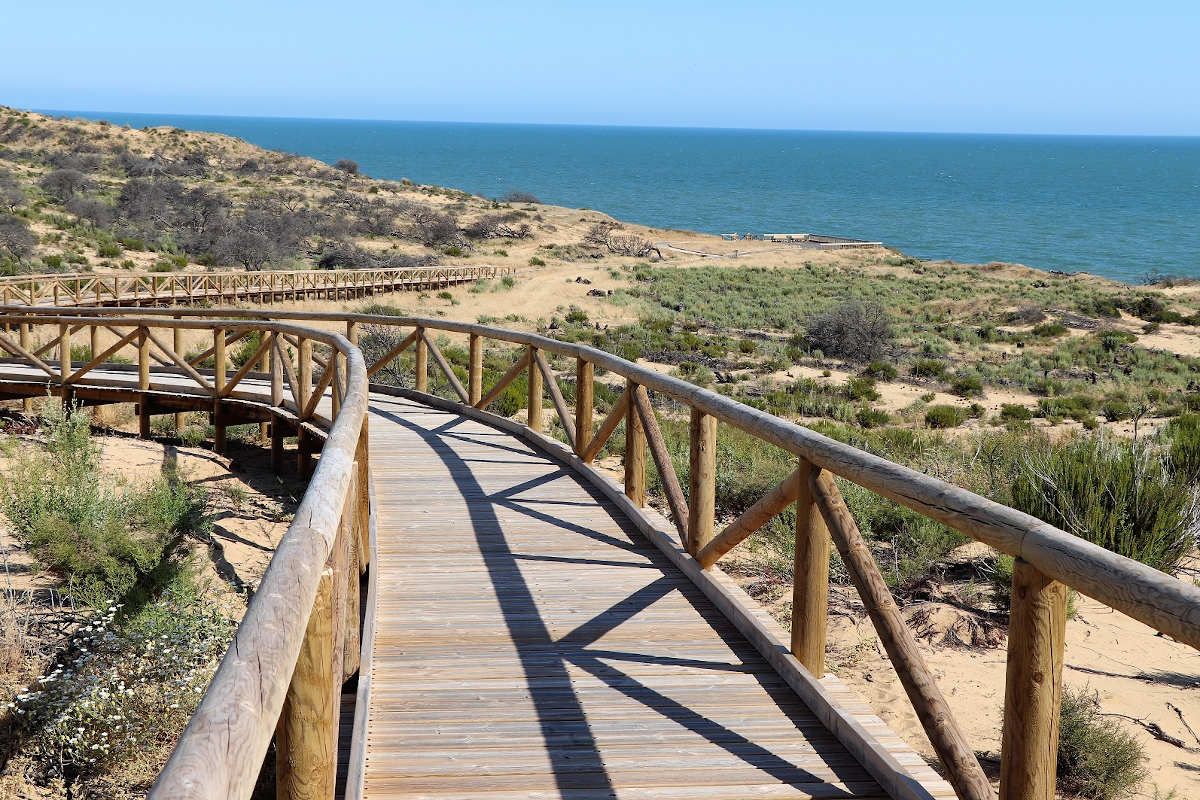 Artículo de opinión 'La política del egoísmo se abre camino en el mar de la desesperación andaluza'. En la imagen, el sendero de Cuesta Maneli en el parque natural de Doñana.