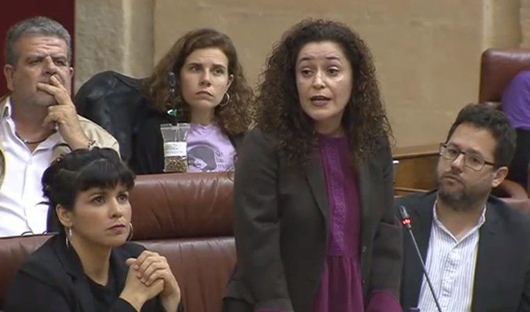 Inmaculada Nieto, de IU, en el centro, junto a varios diputados expulsados de Adelante, con Teresa Rodríguez a la izquierda, antes de la pandemia. FOTO: Parlamento