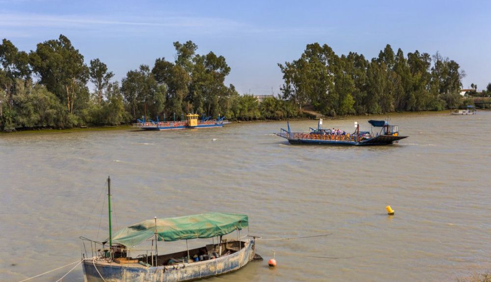 La Ribera del Guadalquivir, en Coria del Río. FOTO: Junta