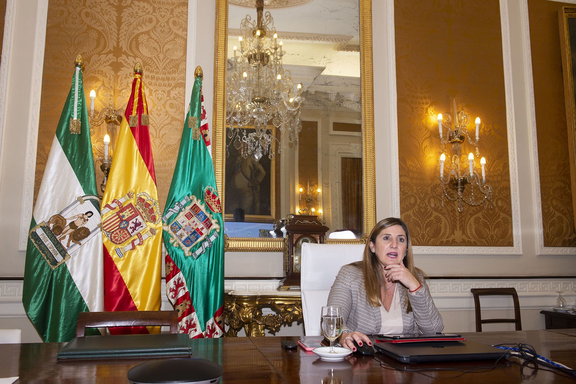 Reunion Subcomision Diputacions NG 01