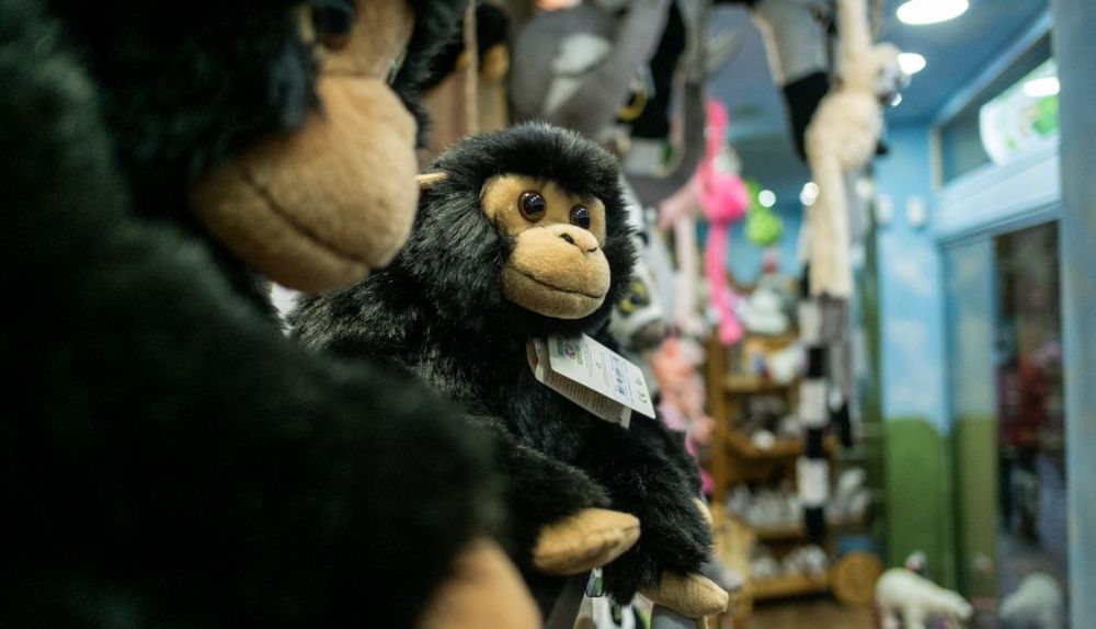 Peluches solidarios para 'Save the Orangutan'.