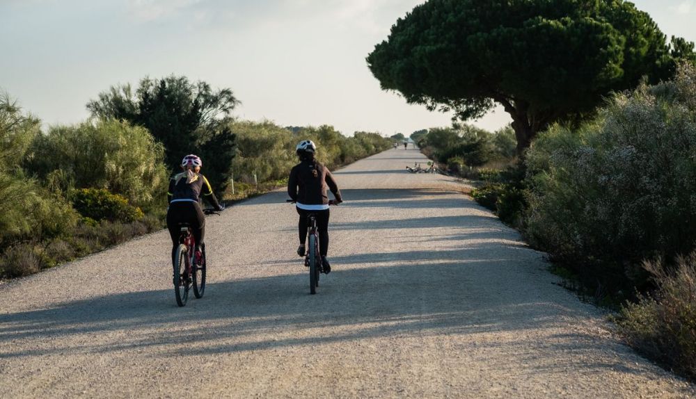 Personas dando un paseo en bicicleta por el sendero.