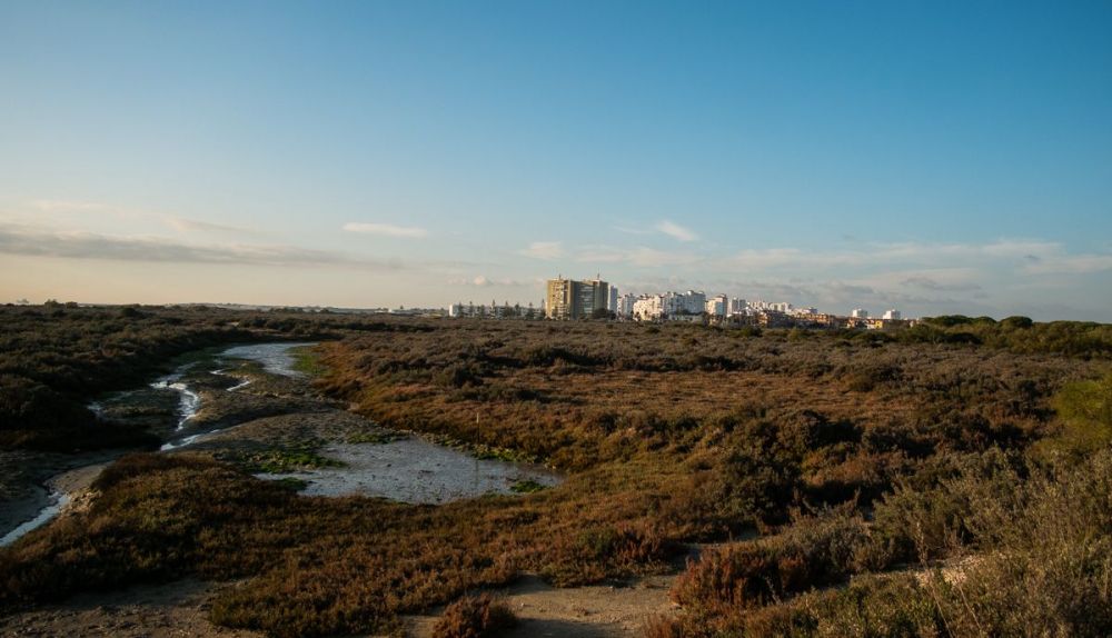 Vistas del parque metropolitano.