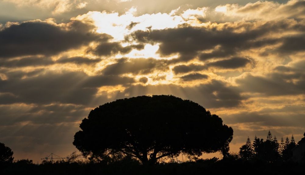 Atardecer en el parque de Los Toruños.