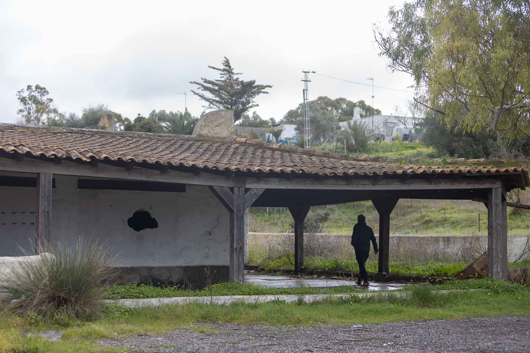 El Berrueco 7