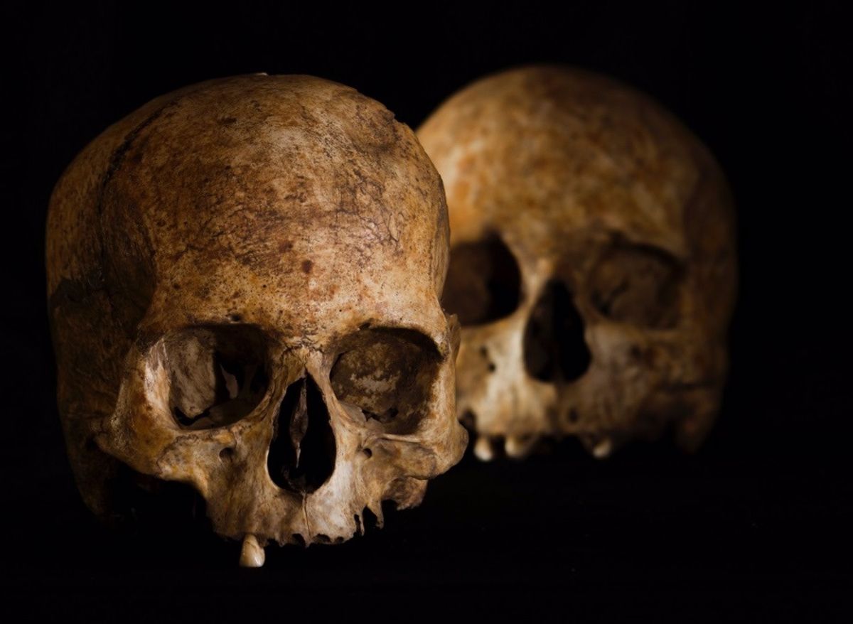Cadáveres humanos hallados.