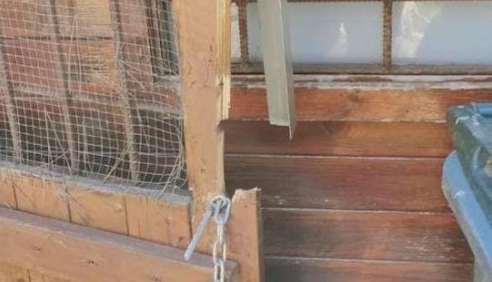 Puertas destrozadas.