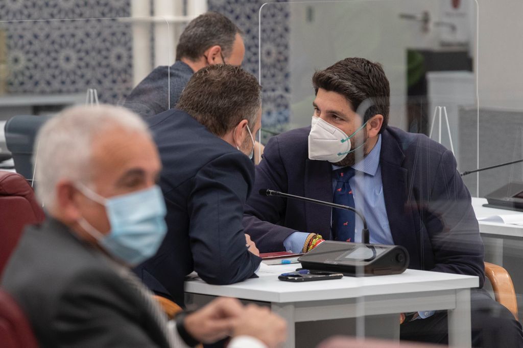 López Miras, en la Asamblea de Murcia.