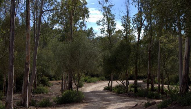 Parque de Las Aguilillas, en una imagen de archivo.