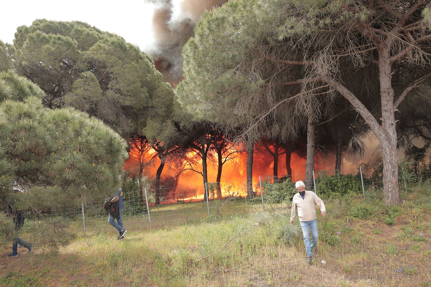 Un incendio, ¿premeditado?