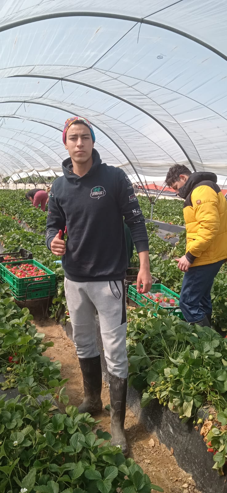 Uno de los chicos empleados en Huelva.