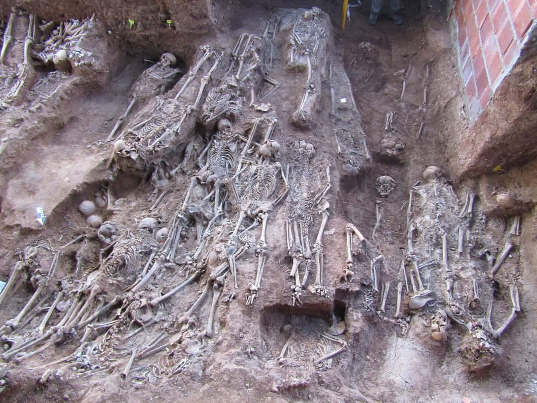 Restos hallados en Pico Reja, una de las mayores fosas de represaliados del franquismo, en Sevilla.