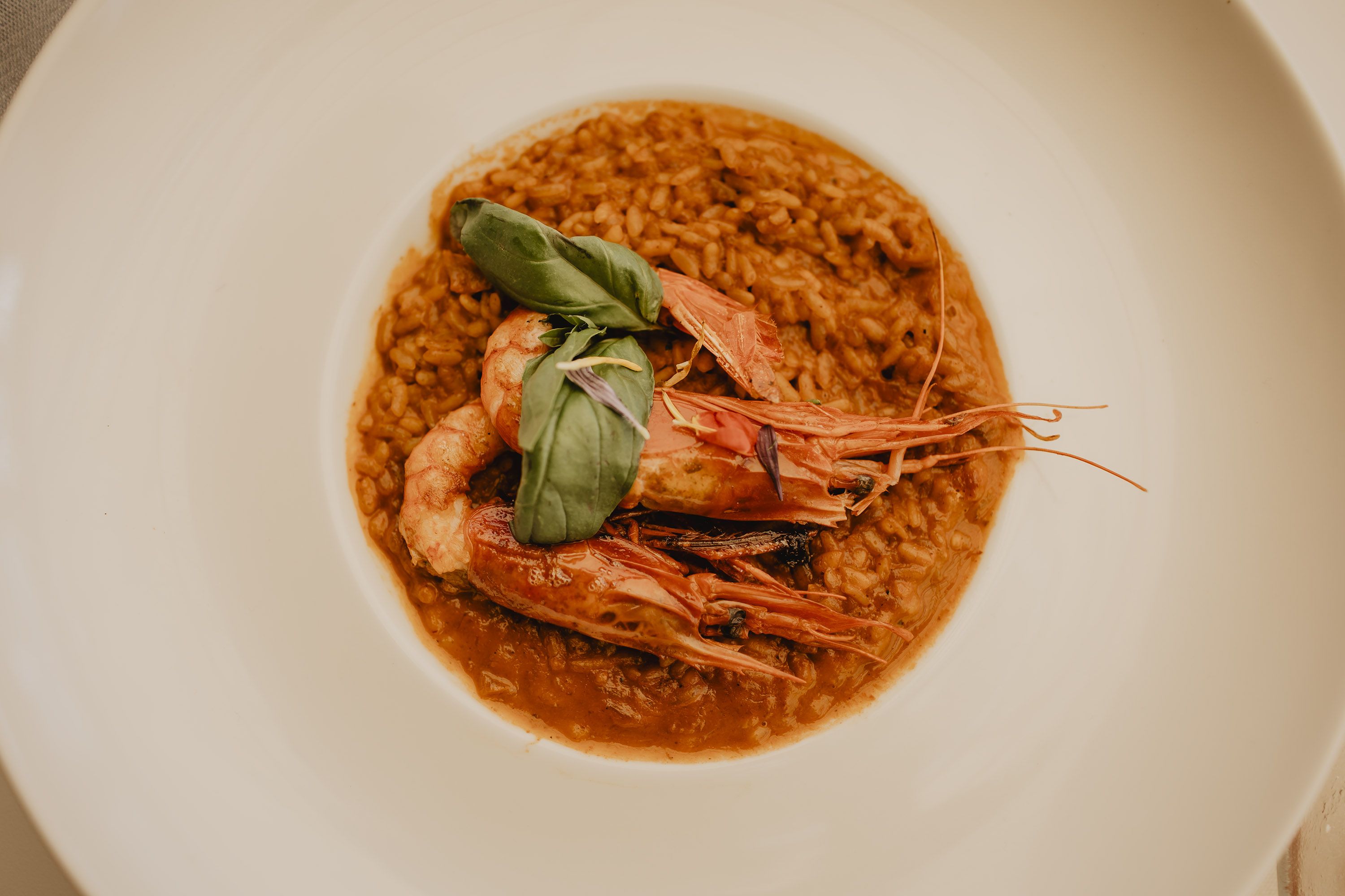 Arroz con carabineros.