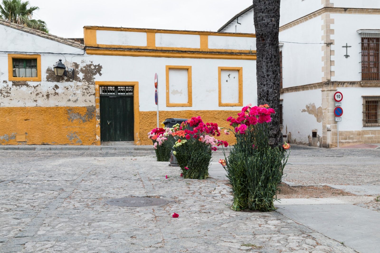 Acción floral en la plaza del Mercado de Jerez.