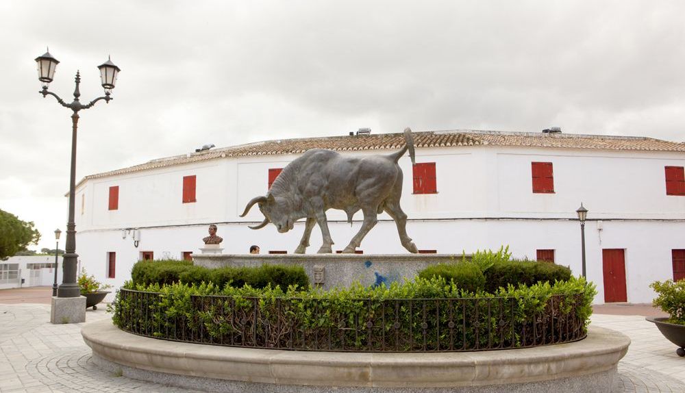 4B07 B23D1CEF6C5BBE16 CA San Roque Pza Toros 01 720AE69C98914462891833336CEFD003