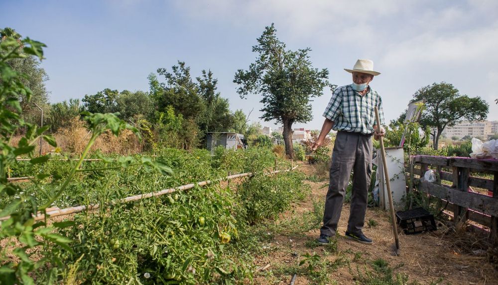 MOUSA AGRICULTOR ISOJE 1