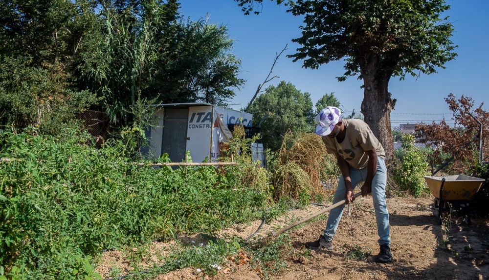 MOUSA AGRICULTOR ISOJE 10