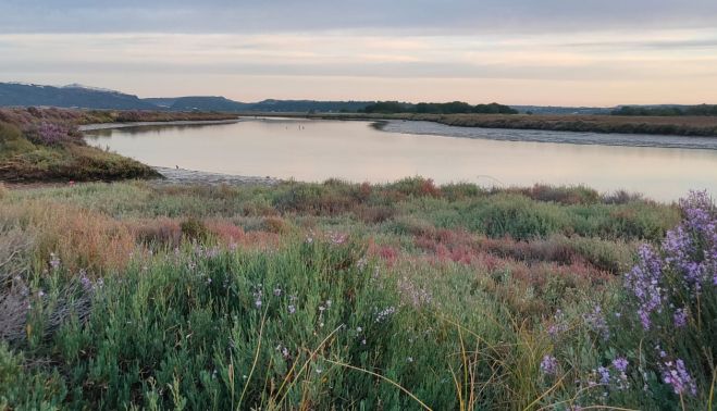 El río Barbate, en el Parque Natural de la Breña y Marismas del Barbate.
