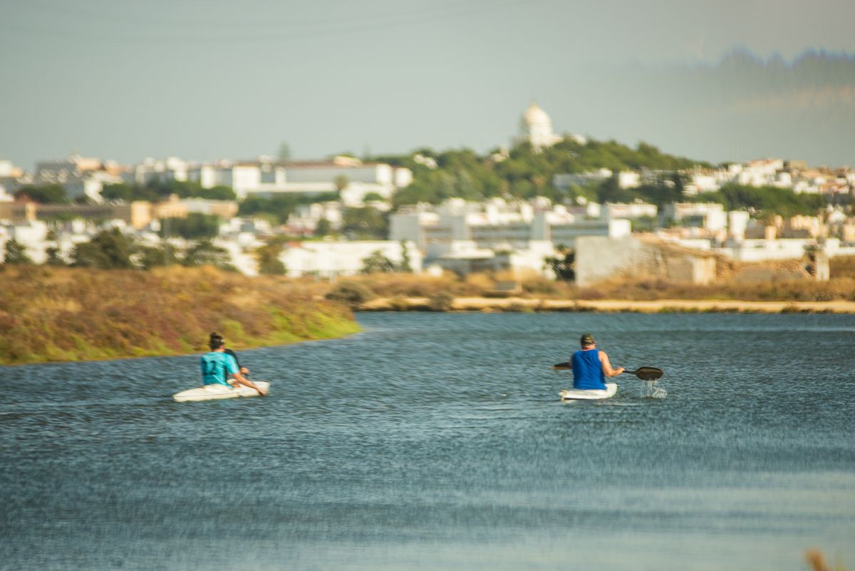 Vista de Chiclana de la Frontera, una de las localidades en las que se organizan estas actividades ornitológicas.
