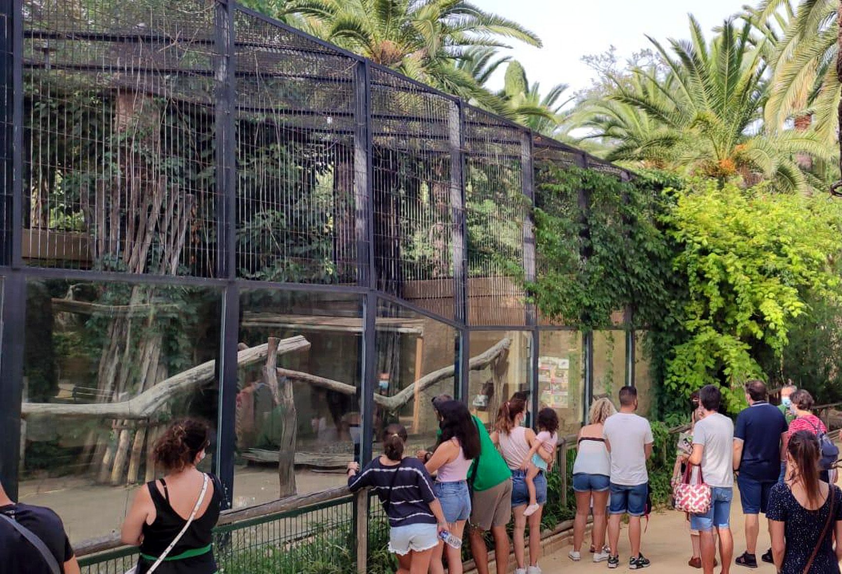 Imagen de archivo de los paseos guiados al atardecer en el Zoo de Jerez.