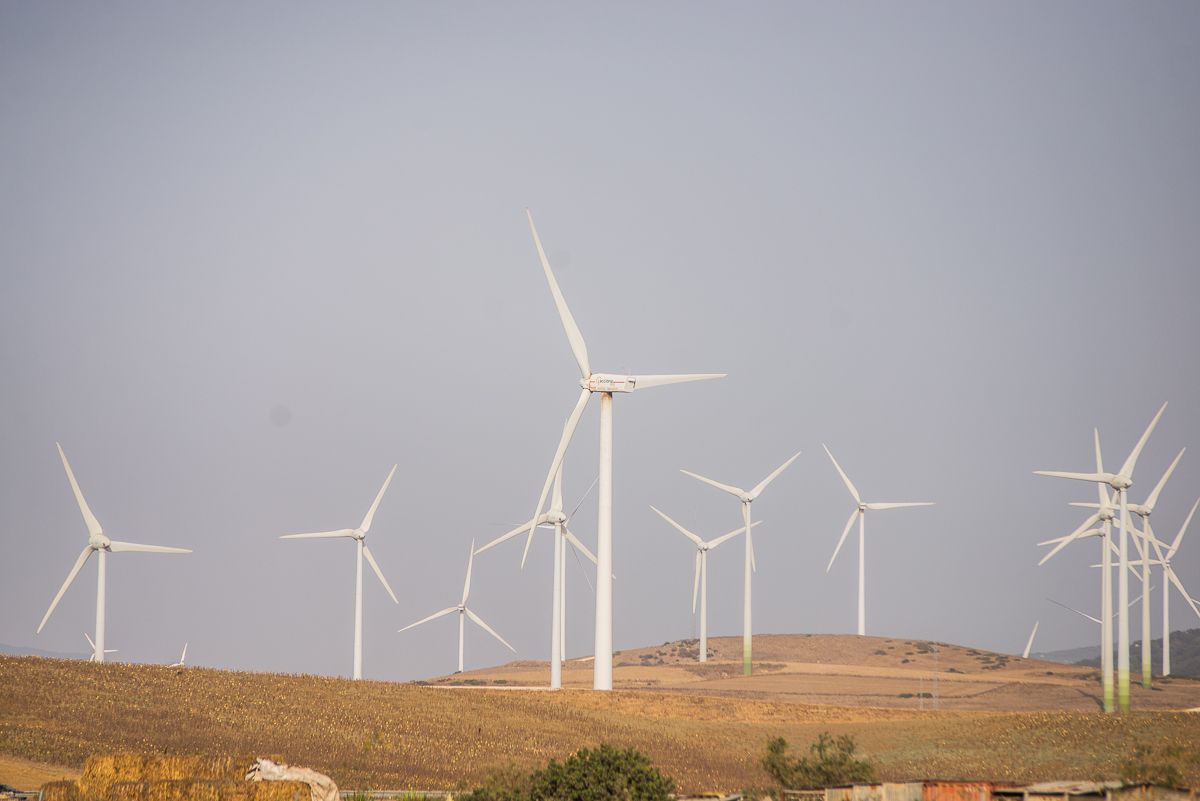 ZAHARA BALANCE VERANO AEROGENERADORES