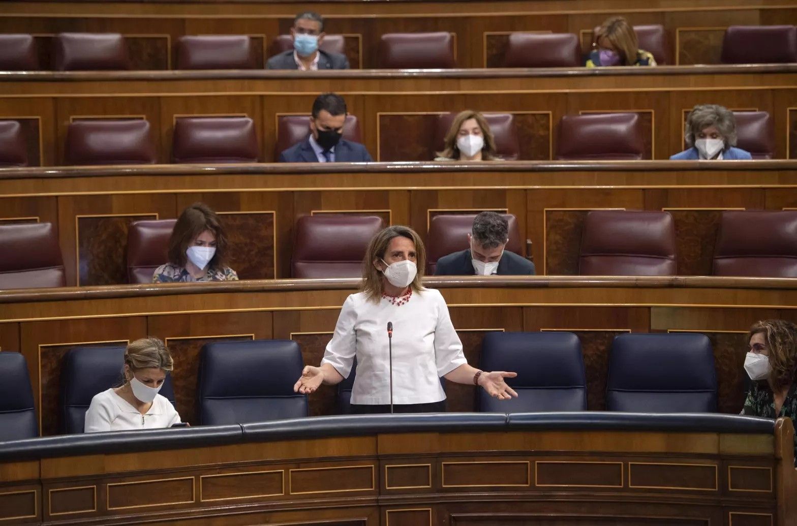 La ministra de Transición Ecológica, Teresa Ribera, en una imagen durante una intervención en el Congreso.