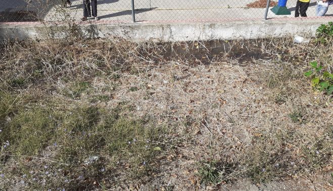 Una zona de pastos, con riesgo de incendio.