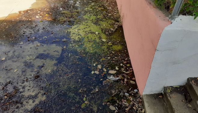 Uno de los patios está inundado.