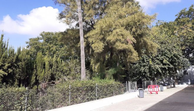 El aspecto del centro se asemeja más a un bosque que a un colegio.