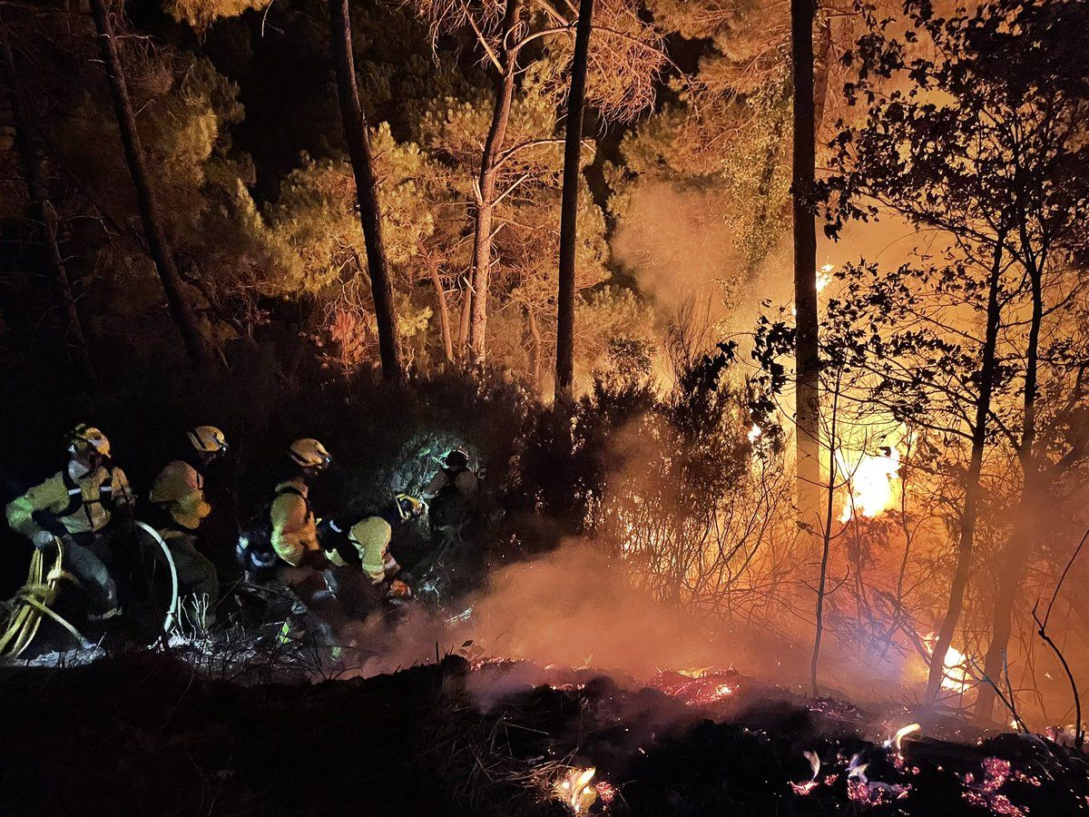 Fallece un bombero de Almería de 44 años mientras luchaba contra el fuego en Sierra Bermeja