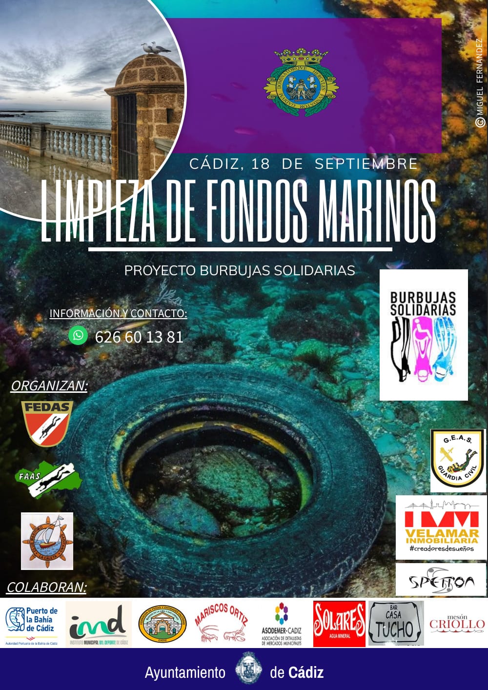Cartel de la campaña. 