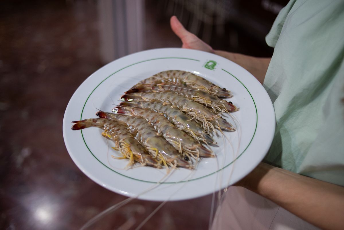 Langostino de trasmallo.