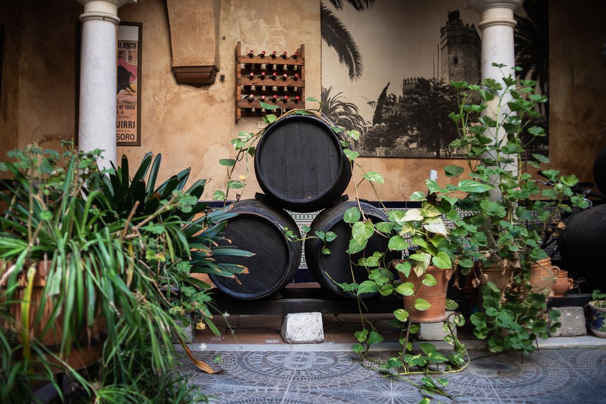 Detalle del patio.