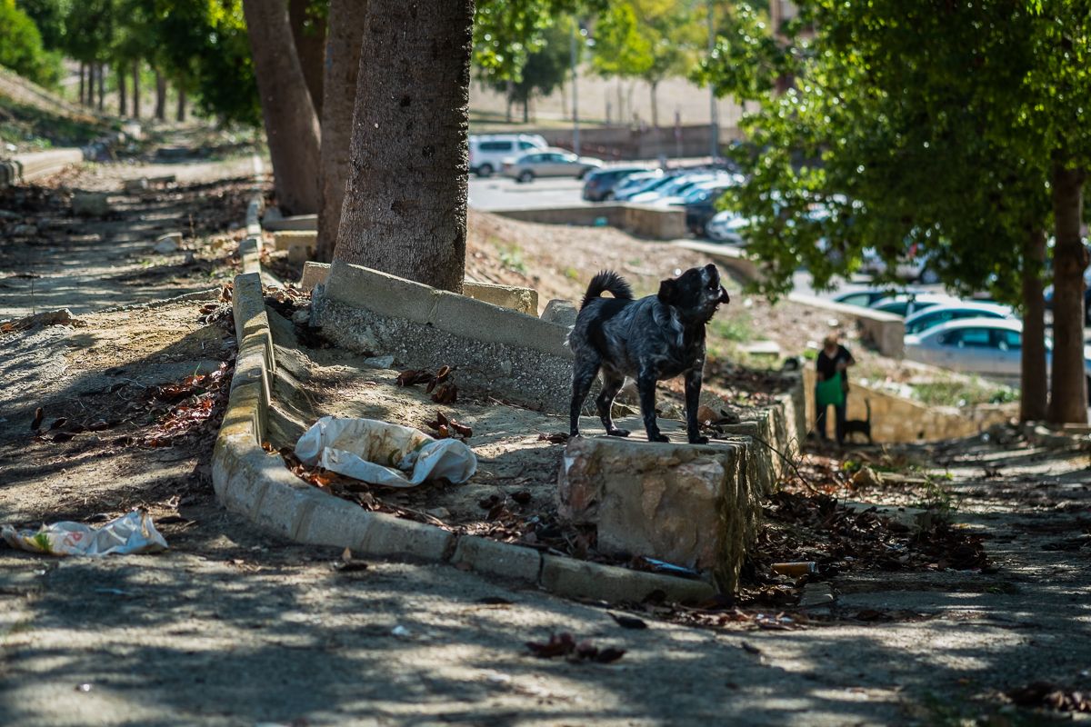 BARRIO EXCLUSION SOCIAL SAN TELMO 14