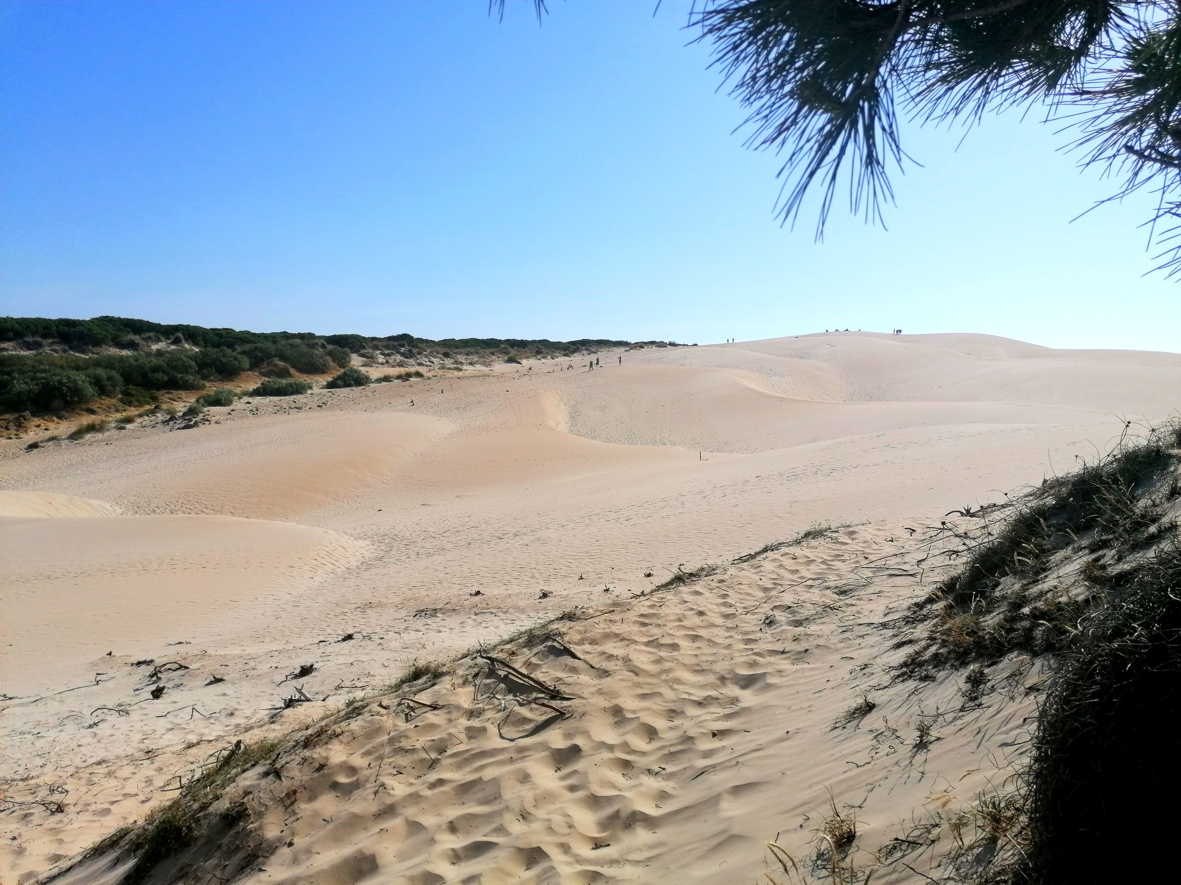 Duna de Bolonia.