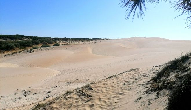 Duna de Bolonia. Marta Sánchez Gento