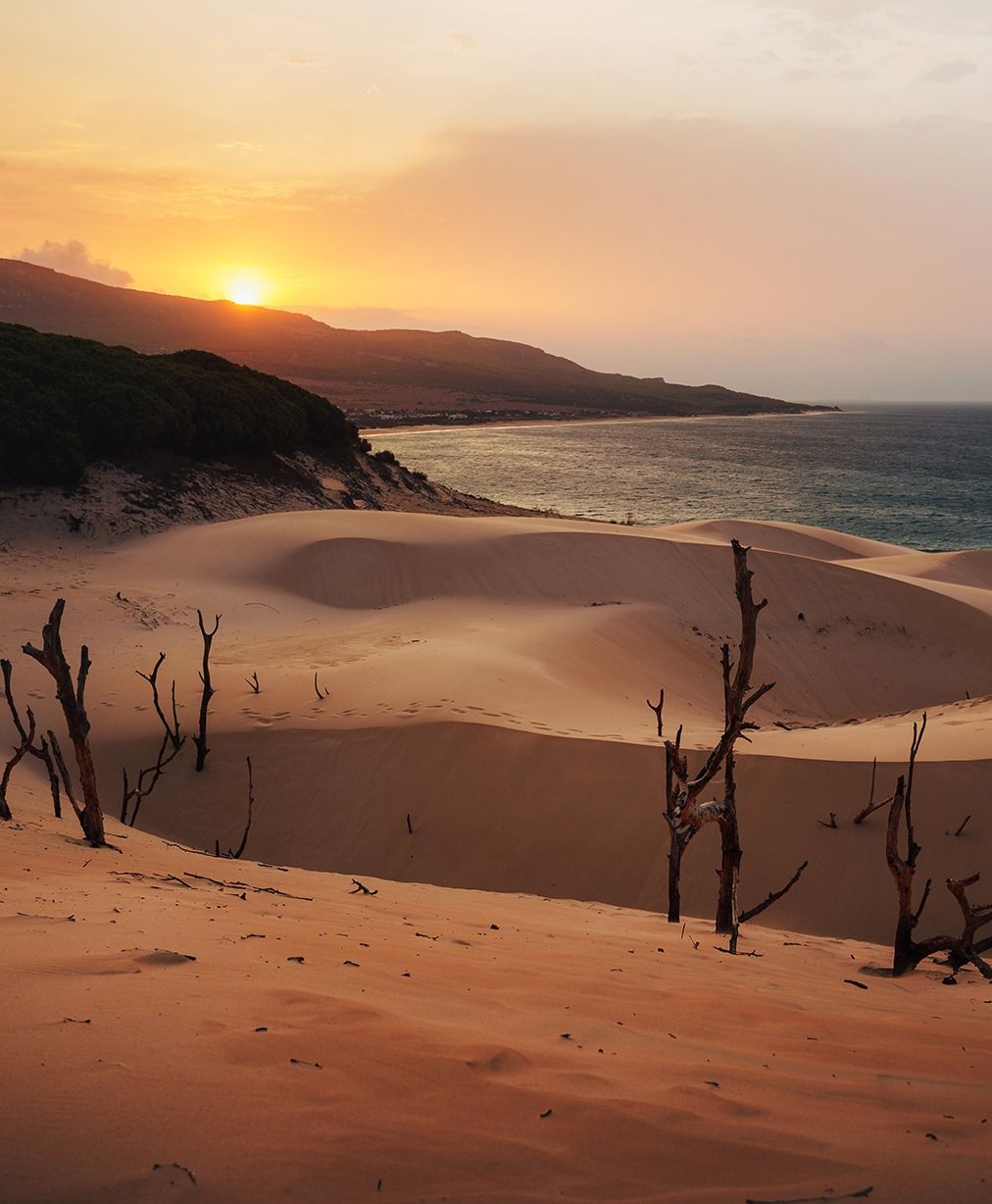 Amanece en la duna de Bolonia.   MARK WHITES