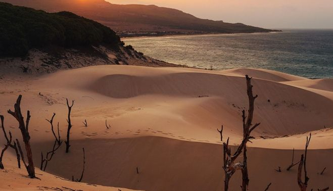 Amanece en la duna de Bolonia.   MARK WHITES