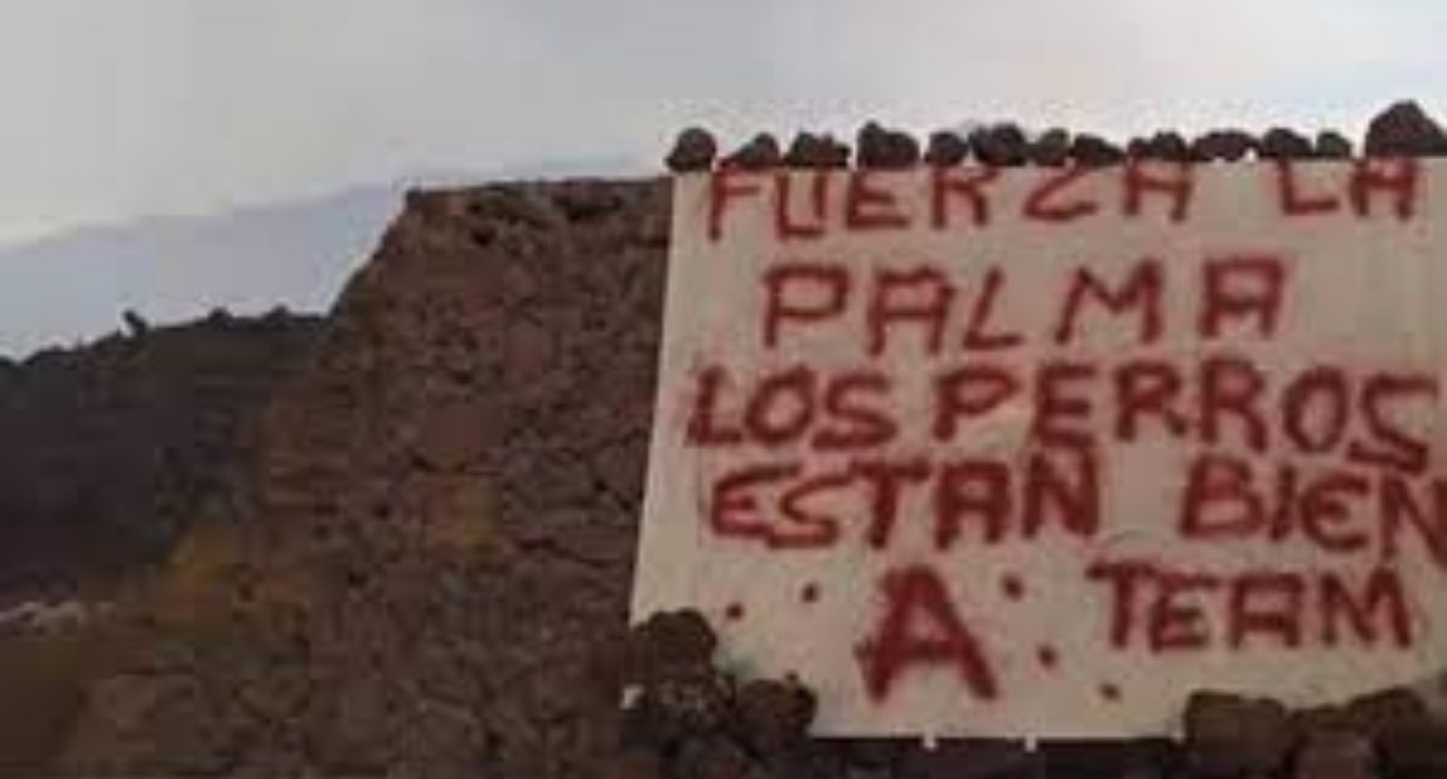 La imagen de la pancarta que reivindica el rescate de los perros por parte del 'A Team'. La imagen de la pancarta que reivindica el rescate de los perros por parte del 'A Team'.