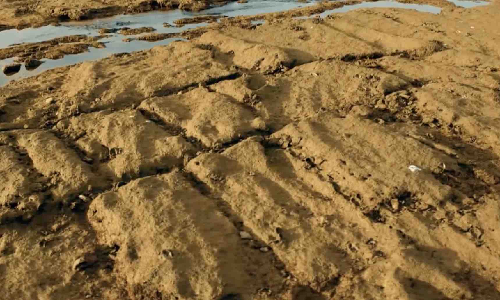 Detalle de la costa de Cádiz, en 'Cuarto Milenio', de Mediaset. Detalle de la costa de Cádiz, en 'Cuarto Milenio', de Mediaset.