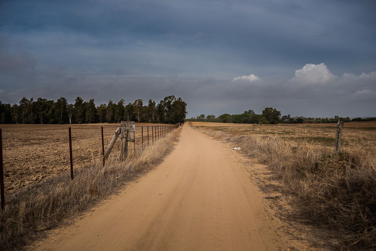 Camino.