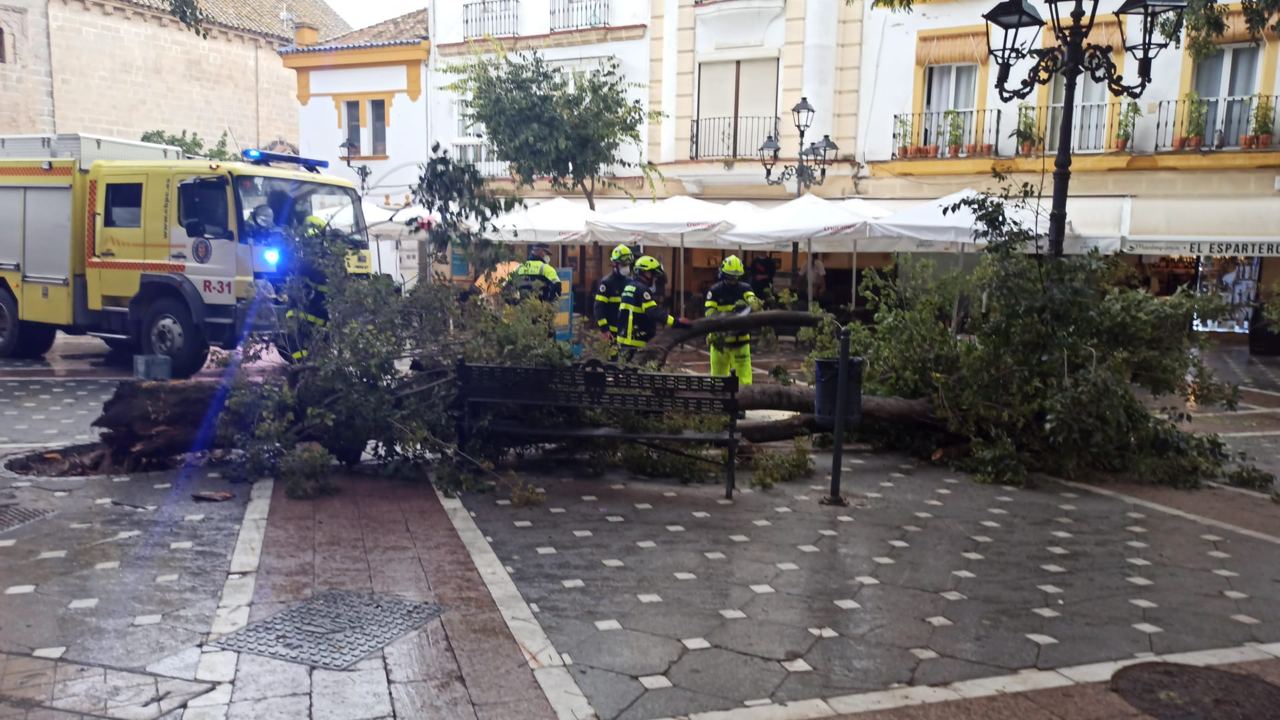 Actuación de los bomberos en la plaza Plateros.