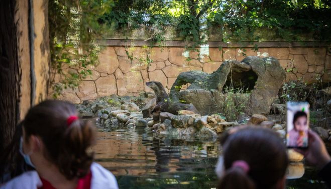 Niños recibiendo una charla educativa en el zoo.