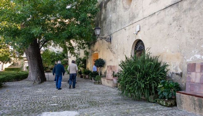PALACIO DE LOS RIBERA BORNOS 35