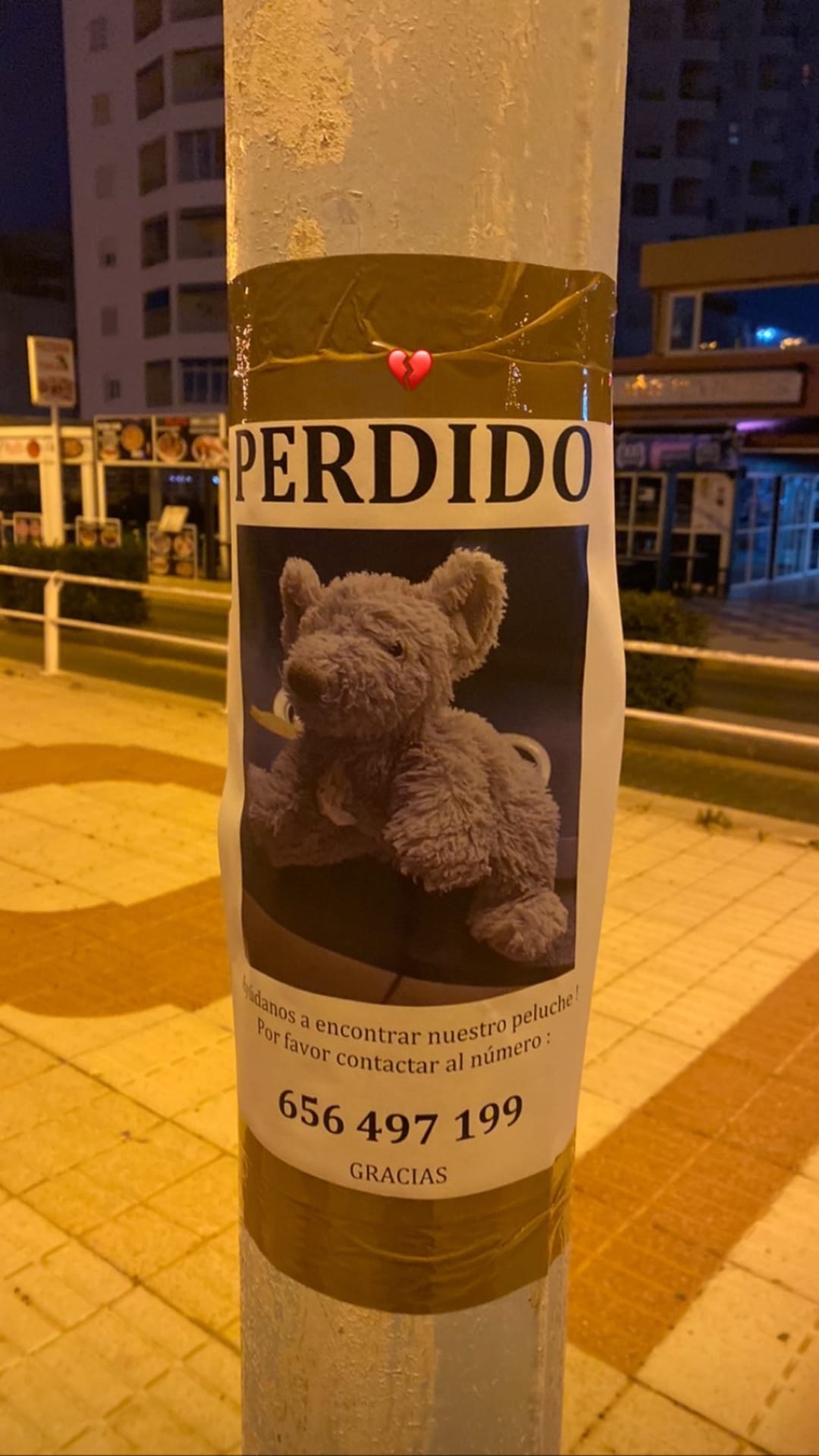 Cartel pegado en una de las farolas del paseo.
