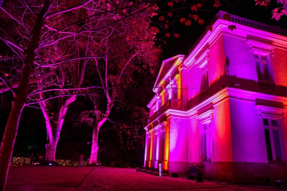 'Luces del Botánico' 1