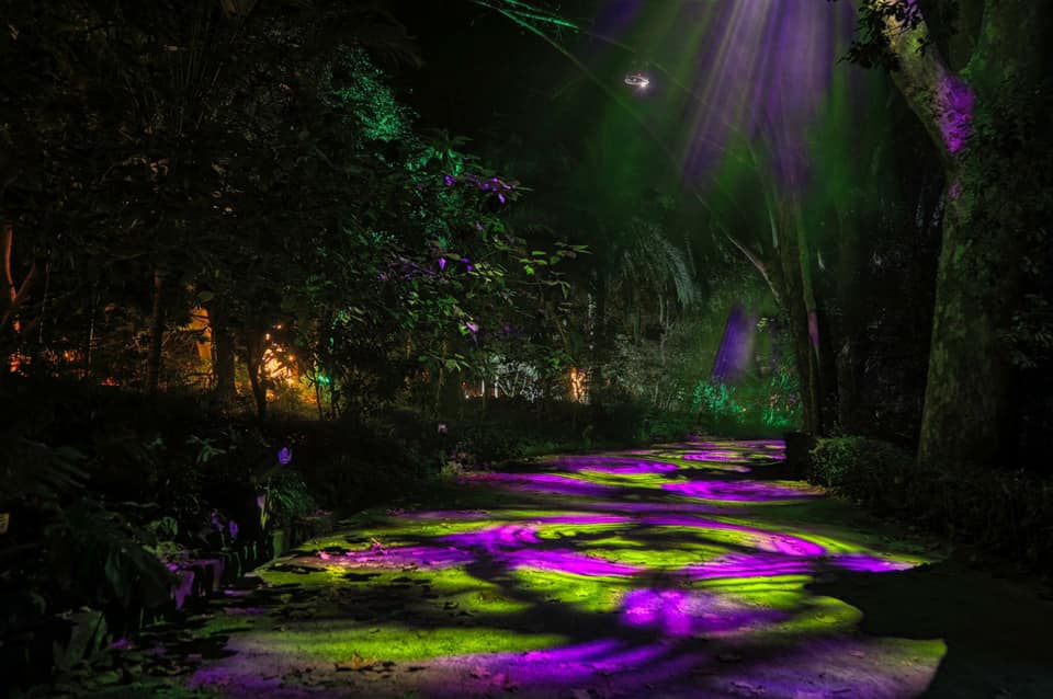 'Luces del Botánico' 2